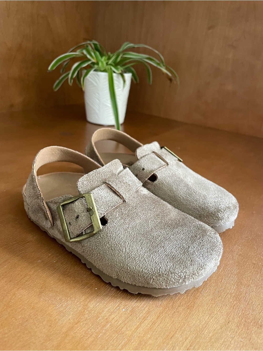 SHEIN Kids Suede Buckle Clog Sandals in Light Beige